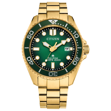 Citizen Promaster Dive Watch